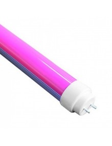 Tubo T8 LED Tubo LED T8 60cm rosa LED-T8-0M6-FD-ROS