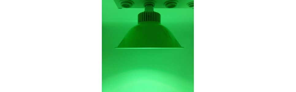 Gama de bombillas con luz especial en color verde para verduras y luz en color rojo para carnes